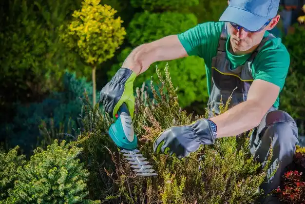 landscaping services Johnson City